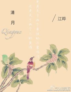 清月