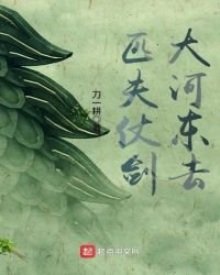 匹夫仗劍大河東去