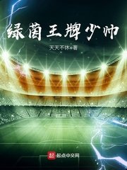 律茵王牌少帥