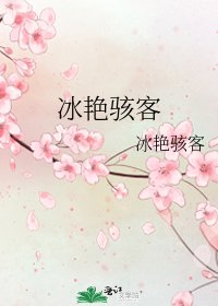 冰豔駭客