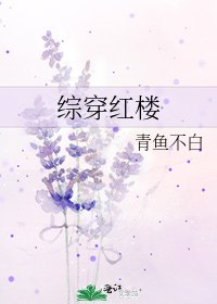 綜穿紅樓