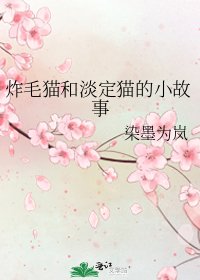 炸毛貓和淡定貓的小故事