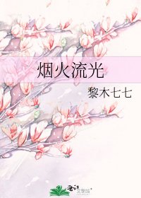 煙火流光