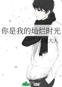 你是我的燦爛時光