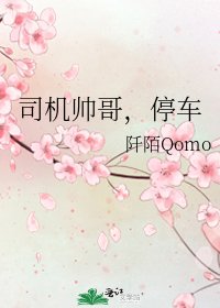 司機帥个,汀車