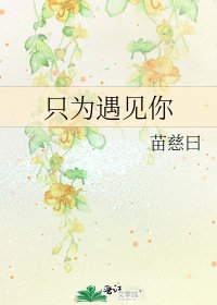 只為遇見你