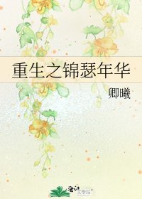 重生之錦瑟年華