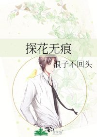 探花無痕