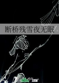 斷橋殘雪夜無眠