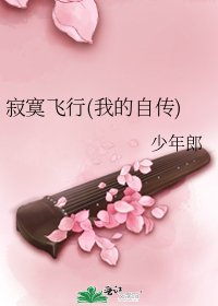 己寞飛行(我的自傳)