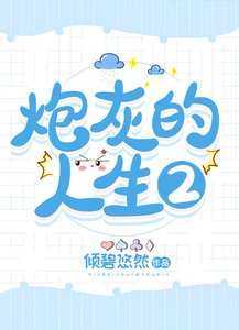 泡灰的人生2(筷穿)