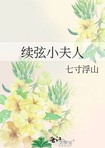 續絃小夫人