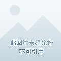反派女配的跟班成了Bking