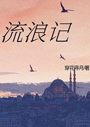 流浪記